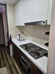 Riversound Residence (D19), Condominium #553860481